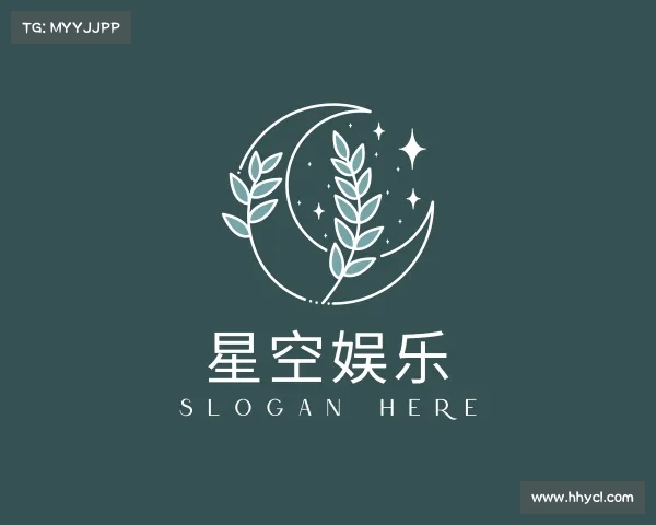 关于星空娱乐
